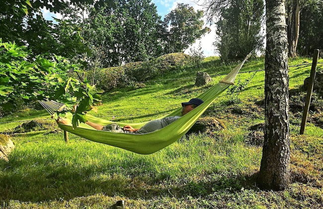 3 Person Holiday Home in Hok - Photo 13