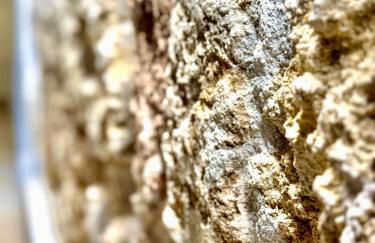 CASE VANELLA GRANDE aspra Bagheria - Foto 18