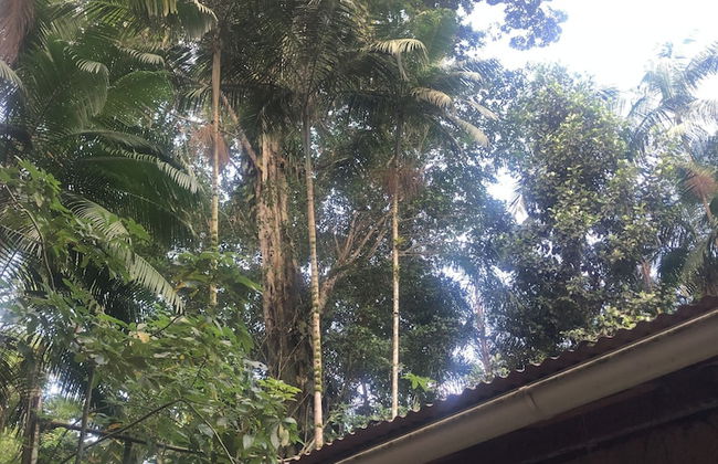 casa barra grande Jardim das Oliveiras - Foto 13