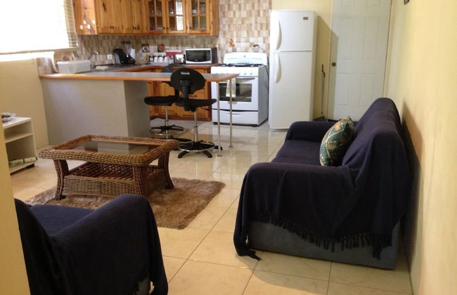 Rose View Apartment Montego Bay - Foto 8