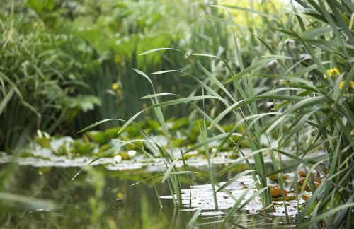 Coach House - Foto 23