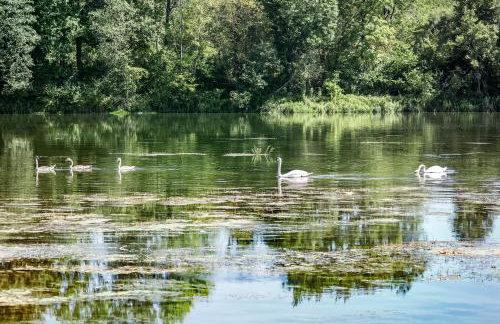 Domek nad Sanem - Foto 26