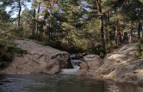 Eco Urbión - Foto 17