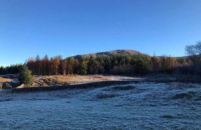1 Bed Cabin in the Magical Galloway Forest Park - Photo 18