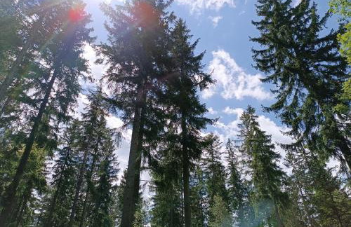 Strażnica Pod Lasem - Foto 72