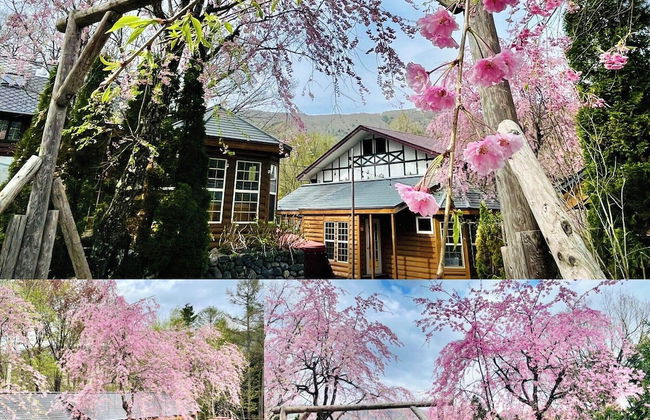 Hakuba Canadian Lodge - Foto 64