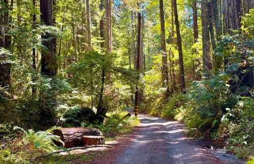 Cozy cabin deep in the redwoods with WiFi and Hot Tub - Foto 8