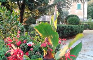 Villa di Papiano - Foto 41