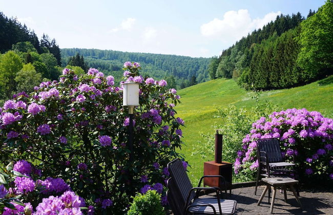 Exclusive Group House in Winterberg in the Forest - Photo 56