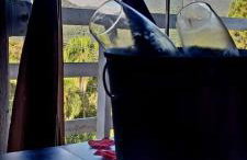 Chale da Montanha Capivari - Foto 27