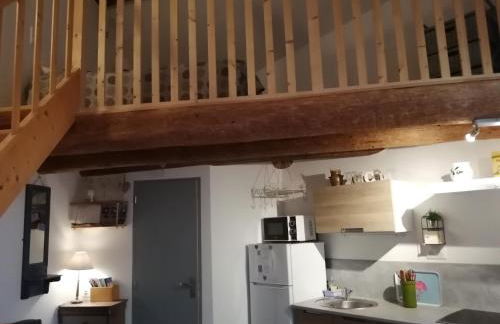 Les Gîtes sous l' Olivier en Camargue - Photo 11