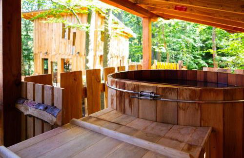 La Cabane dans les arbres du Domaine de la Forestière - Foto 17