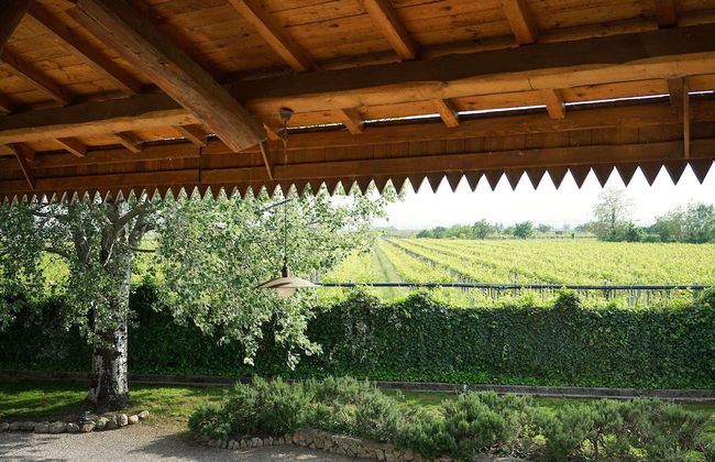 Domus Cariana - Photo 24