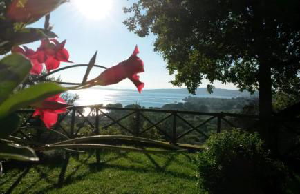 La Cerasa - il Lago fuori - Foto 8