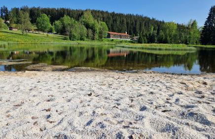 Two Apartaments Almberg - Mitterdorf-Mitterfirmiansreut - Foto 49