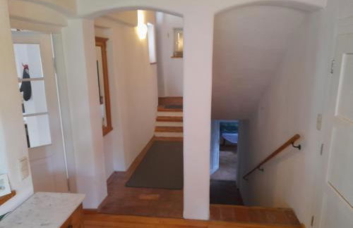 Im Naturgarten - Foto 38