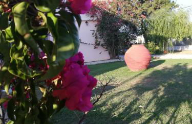 Anestis Studios - Foto 40