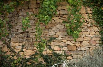 Le Manoir de Carlucet Gite - Foto 6