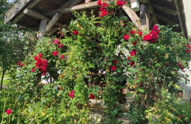 Apartman Jakov - Foto 15