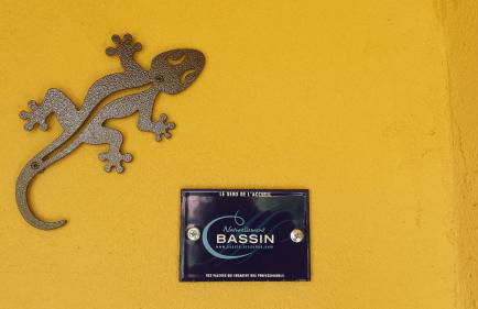 Salamandre et Hippocampe - Foto 31