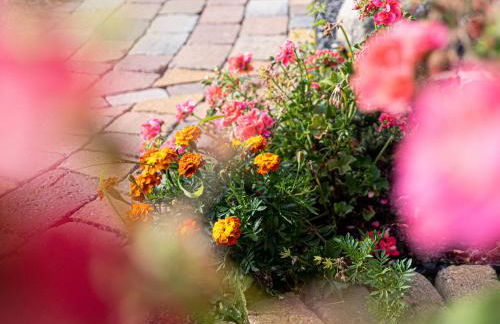 Damm Apartments - Foto 17