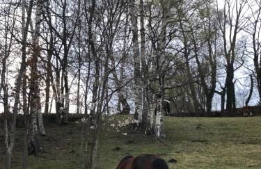 Casa Rural Mollo, Vall de Camprodon - Foto 54