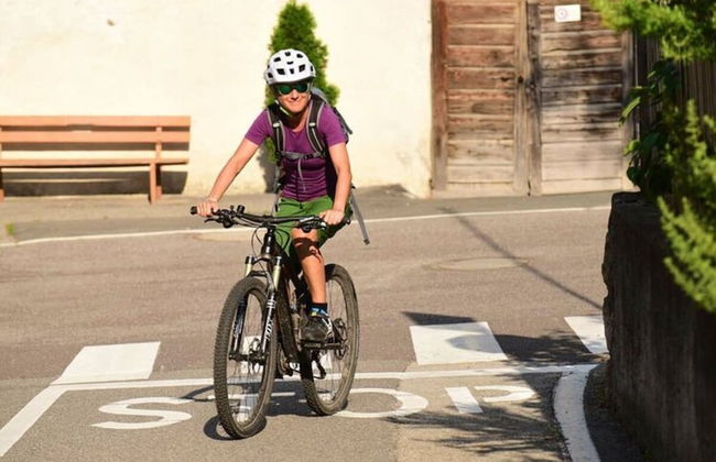 Holiday Apartment Krosshof - Photo 17