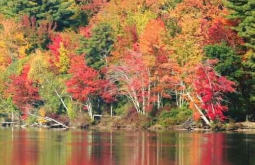 Main House - 3 Story 5 Bed 3 Bath Private Deck Courtyard Pet Friendly fee applies - Photo 57