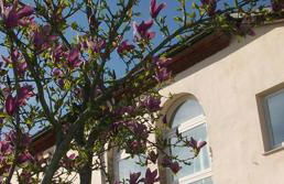 Cascina Marcantonio - Foto 69