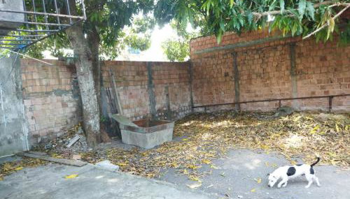 Casa com terreno grande - Foto 5, Garden, Garden view