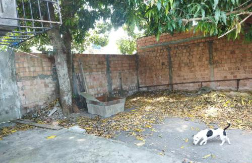 Casa com terreno grande - Foto 5