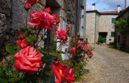 9, Cimo da Aldeia - Foto 15