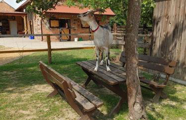 Ranczo Popowice - Foto 38