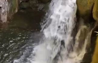 Village Arcoverde - Visconde de Mauá - Photo 52