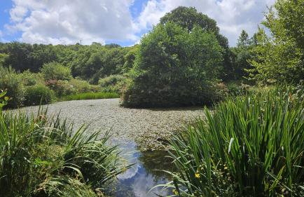 Roseland Valley Retreat - Photo 15