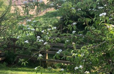 Coverdale cottage - Photo 54