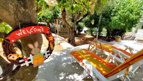 Eftychia Cottage House - Photo 4, Garden, sunbed, Garden view, Shower