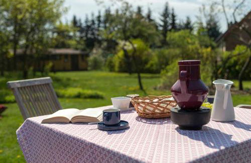 Pommernhaus Charmantes Colonistenhaus, Kamin, Ruderboot - Foto 27