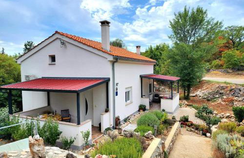 IVA apartments - Photo 3