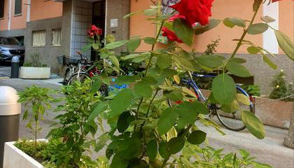 Home In The Blue - Photo 4