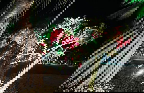 GOLF VILLE RESORT BEACH PARK - Photo 56