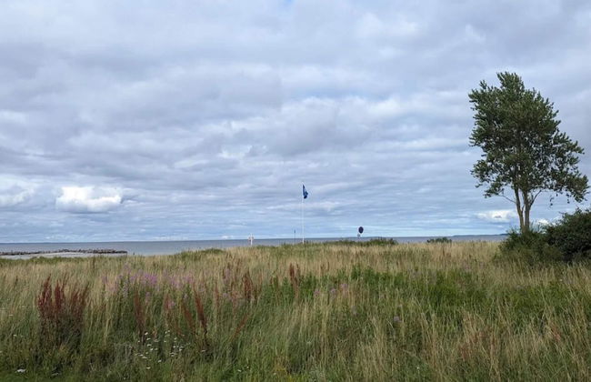 5 Person Holiday Home in Middelfart - Foto 35