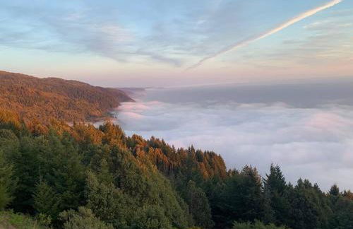 Shelter Cove Brand New Beautiful Ocean View Home - Foto 27