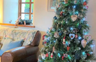 Siabod, Betws y Coed, Snowdonia 2 en-suite bedrooms - Foto 57