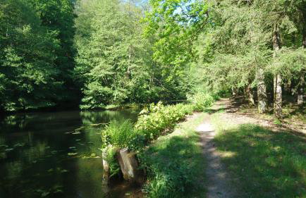 Apartment Schlossblick - Top location - Foto 77