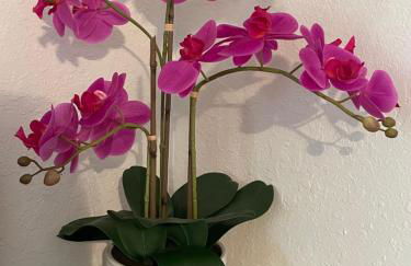 STAIRS OPTIONAL! Lakefront! Pool! On Water! Convenient Fishing! - Photo 70