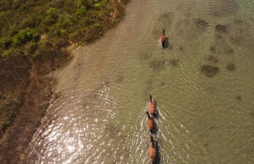 Mi Faro Unit B Duplex - Foto 26