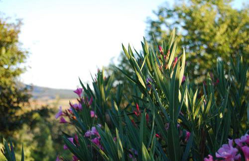 Casa vacanze Santa Giulia - Foto 49