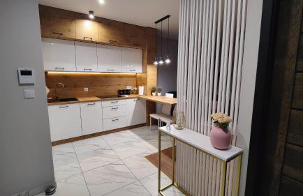 Apartament przy Parku Śląskim - Foto 11