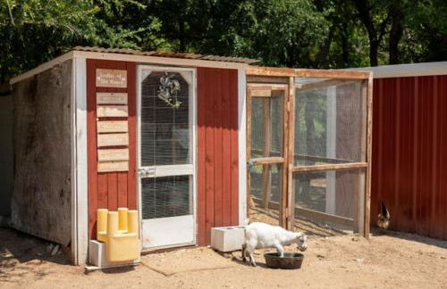 Hobbit Treehouse with waterfall on the Brazos River! 350 acres! Tubing! Petting zoo! - Foto 43